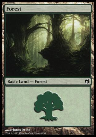 Forest (#80)
